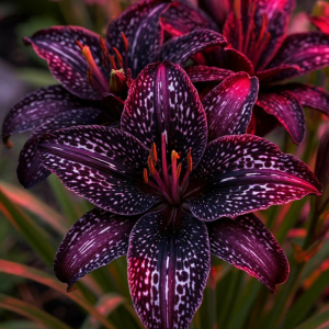 Лилейник Вояж купить по цене от 699р. в интернет-магазине «Посадика» с доставкой почтой в в Магадане и по всей России – [изображение №1].